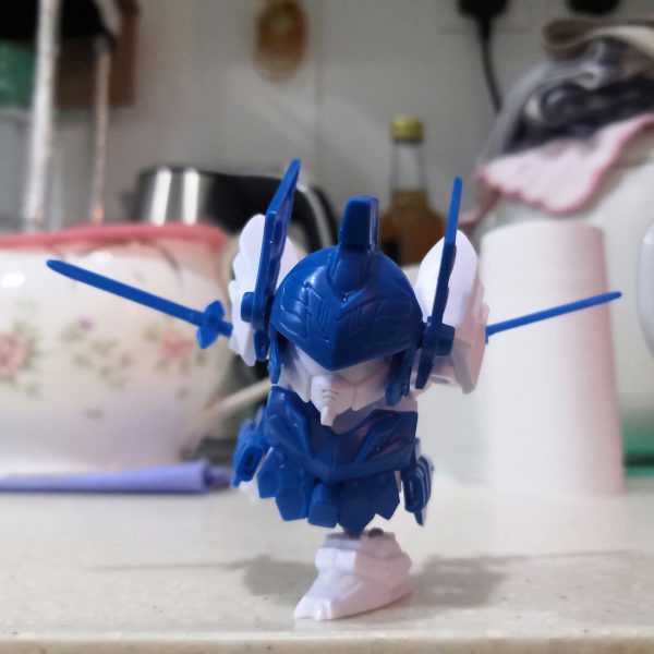 （7枚目）