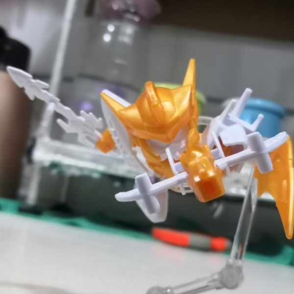 （5枚目）