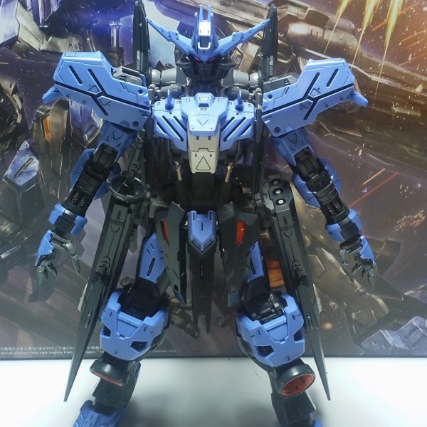 MGヴィダール完成！