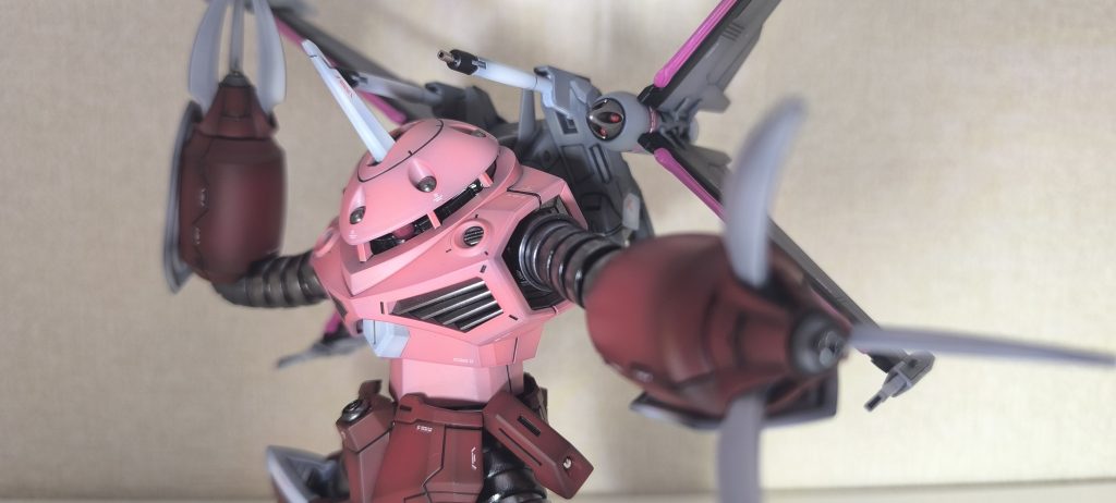 HG ズゴック（FREEDOM Ver.）