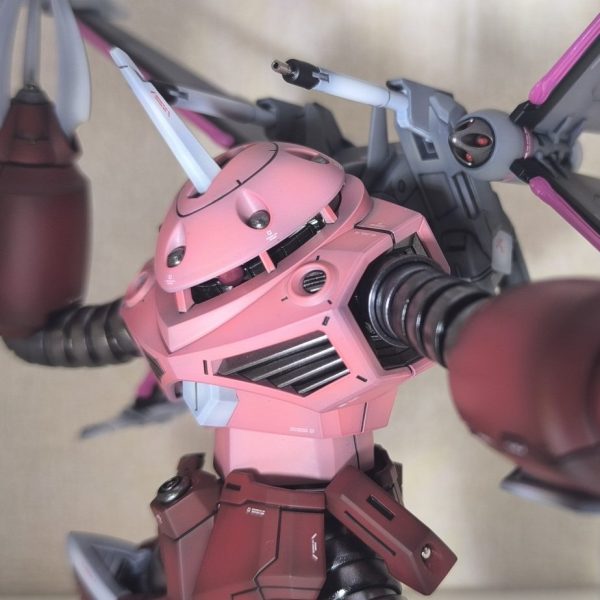 HG ズゴック（FREEDOM Ver.）