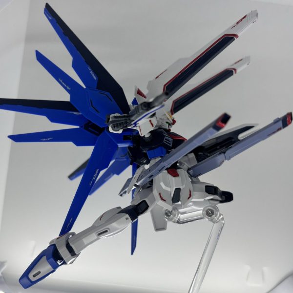 フリーダムポージング