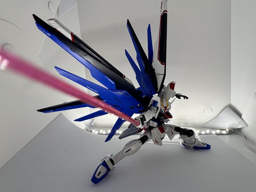 フリーダムポージング–3枚目/制作者：匿名