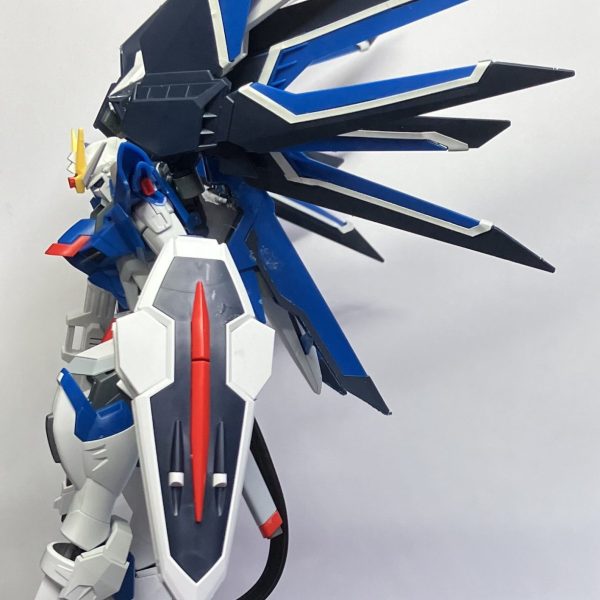 舞い降りる剣〜自由を掲げる翼〜