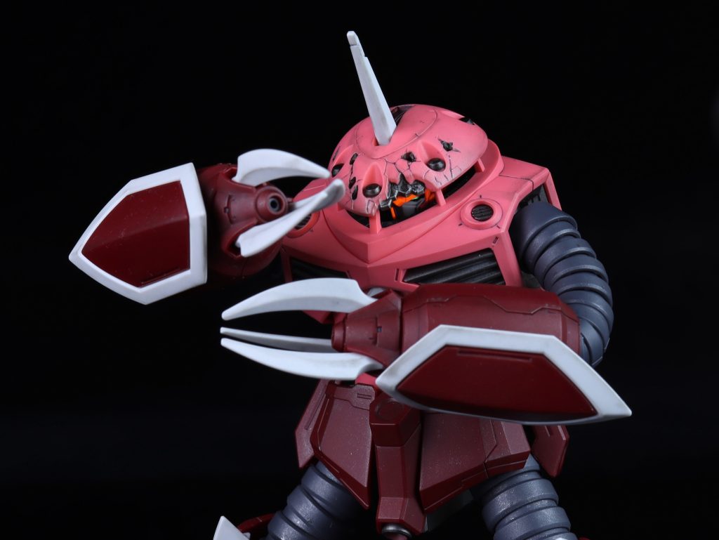 HGCE 1/144 ズゴック(SEED FREEDOM Ver.)& キャバリアーアイフリッド