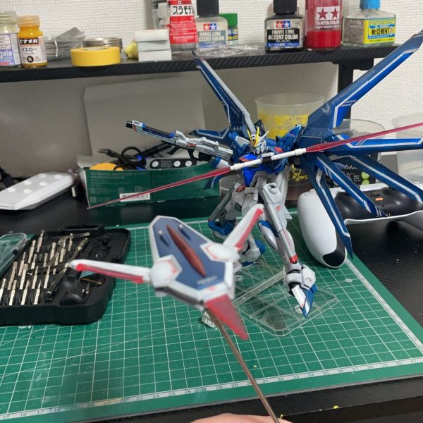 ライジングフリーダム！