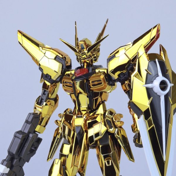 RG アカツキガンダム　オオワシ装備& シラヌイパック