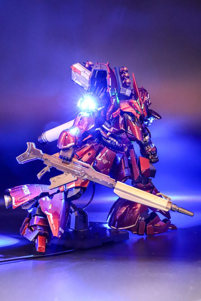 やってみたかったあのポーズ(なんか違う)