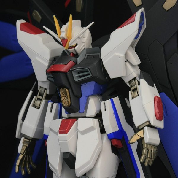 HGCEストライクフリーダムガンダム