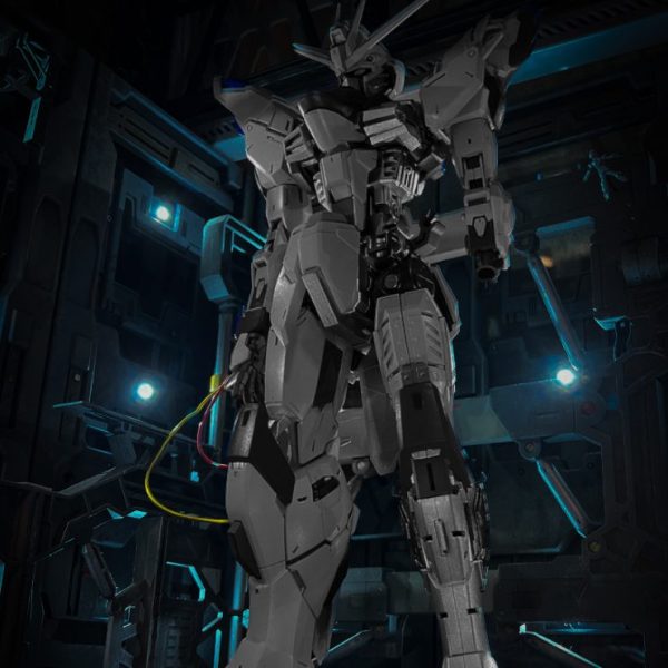 MG ガンダムSEED フリーダムガンダム ver.2.0