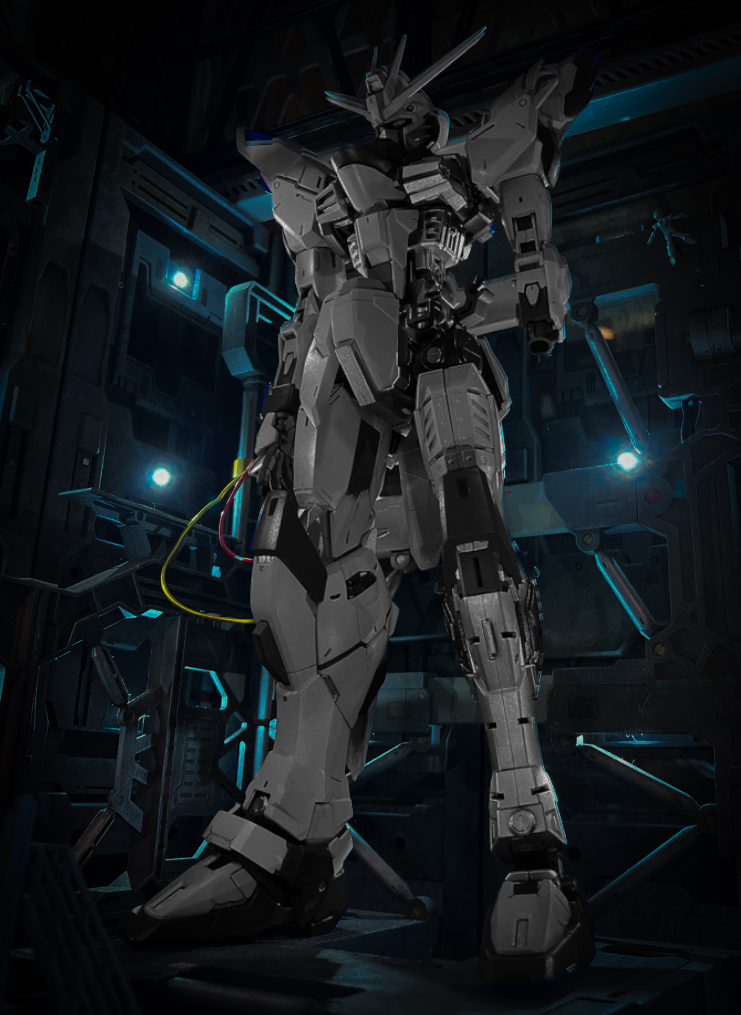 MG ガンダムSEED フリーダムガンダム ver.2.0