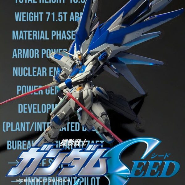 MG フリーダムガンダムver.デュエルカラー