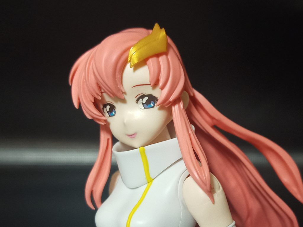 Figure-rise Standard ラクス・クライン(30MS互換加工)