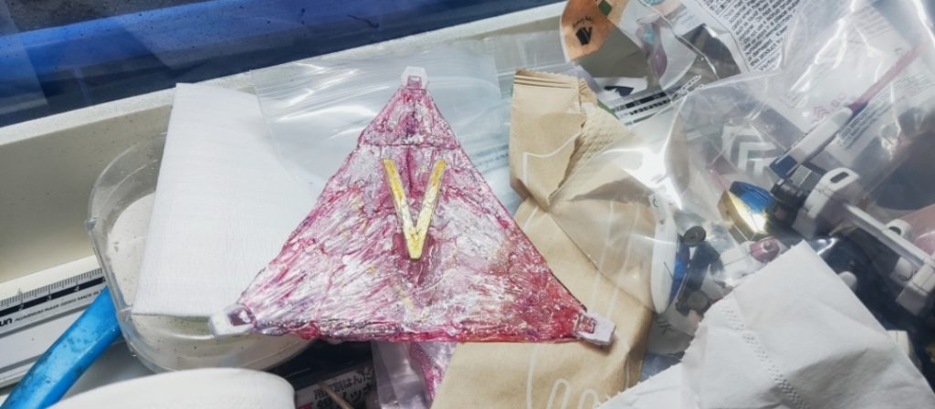 V2 in G-gen–3枚目/制作者：モデルワークショップ