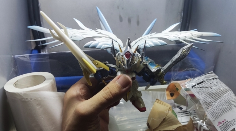 協力する