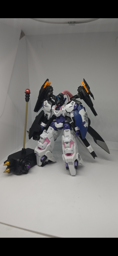 BEGUIR―BEU  TORCHE  TROOPER