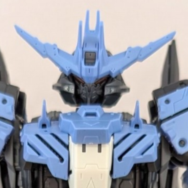 MG 1/100 ガンダムヴィダール