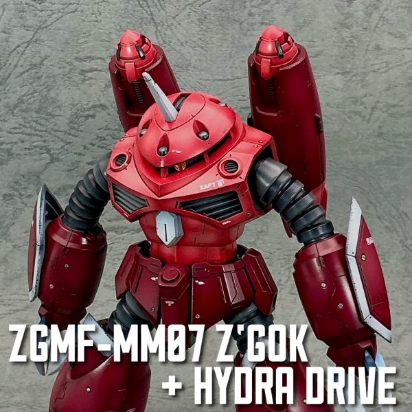 ズゴック 水陸両用仕様(SEED FREEDOM Ver.)