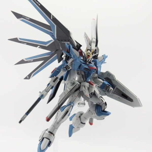 HGCEライジングフリーダム