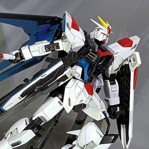 フリーダムガンダムマイティー