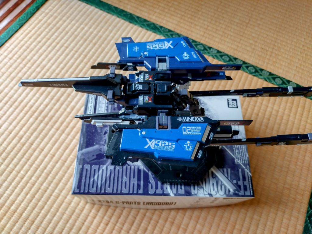 畳が全く似合わないフルドド（笑）