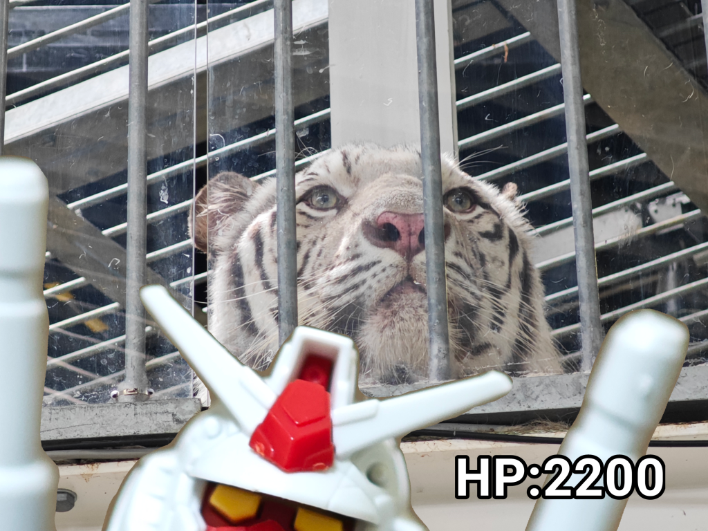 あと、万博公園のすぐ近くにある施設「ニフレル」にも行ってきました。水族館を主体に色々な動物を飼育してたりするのですがホワイトタイガーいたり世界三大珍獣の一体であるコビトカバが飼育されてたりと思ってたより凄い所でしたね。