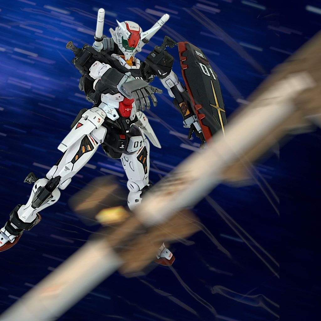 投げるもの!! ↑これ、ずっとやりたかったです(gundam-kao6)