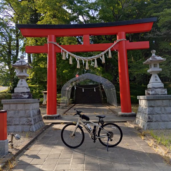 クロスバイク買いました❗️