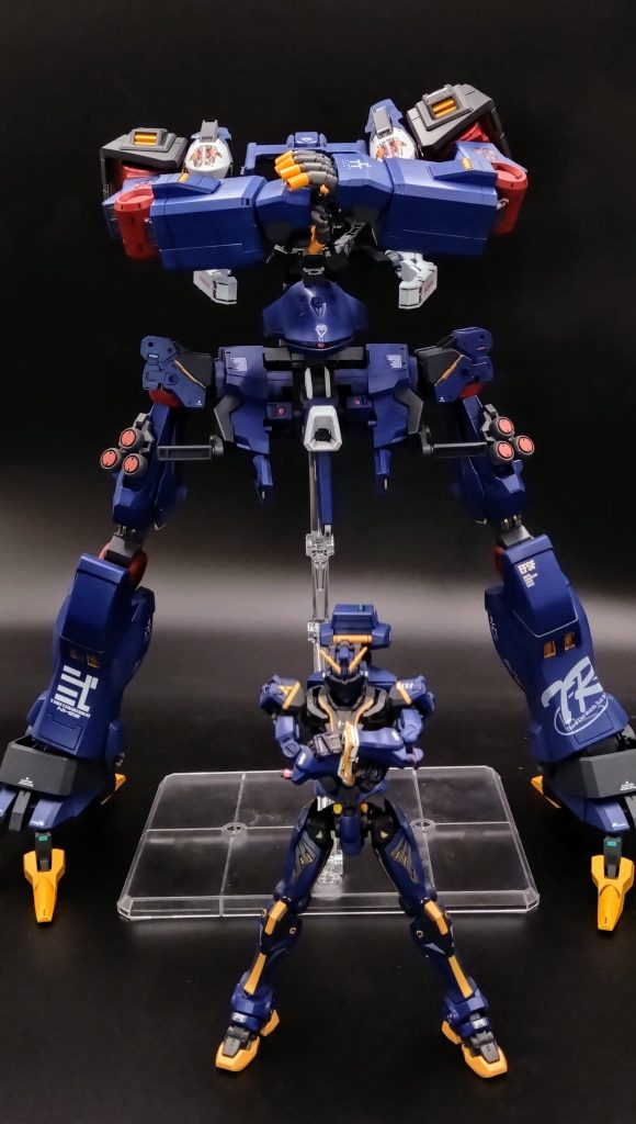 ミコシの活躍は一年戦争時地球に残ったジオン地球軍はジオン支持派の反地球連邦組織と結集しダカールへの大規模襲撃作戦を知ったティターンズはその襲撃組織になんと陸戦型ビグザムが建造されいると情報得たティターンズはすぐさま第五兵装 ミコシを使用した。情報通りにジオン側は陸戦型ビグザムを使用したためティターンズの決戦兵装サイコガンダム初出陣し初の重MAどうしの戦闘となった。結果サイコガンダムの勝利しミコシはその戦果実績を得た後UC0085年 イズマコロニーのザビ家の一人キシリア暗殺計画に使用したサイコガンダムの完成体となる。