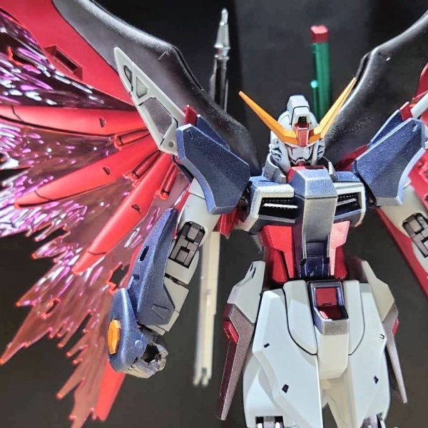 【供養シリーズ】HGデスティニーガンダム