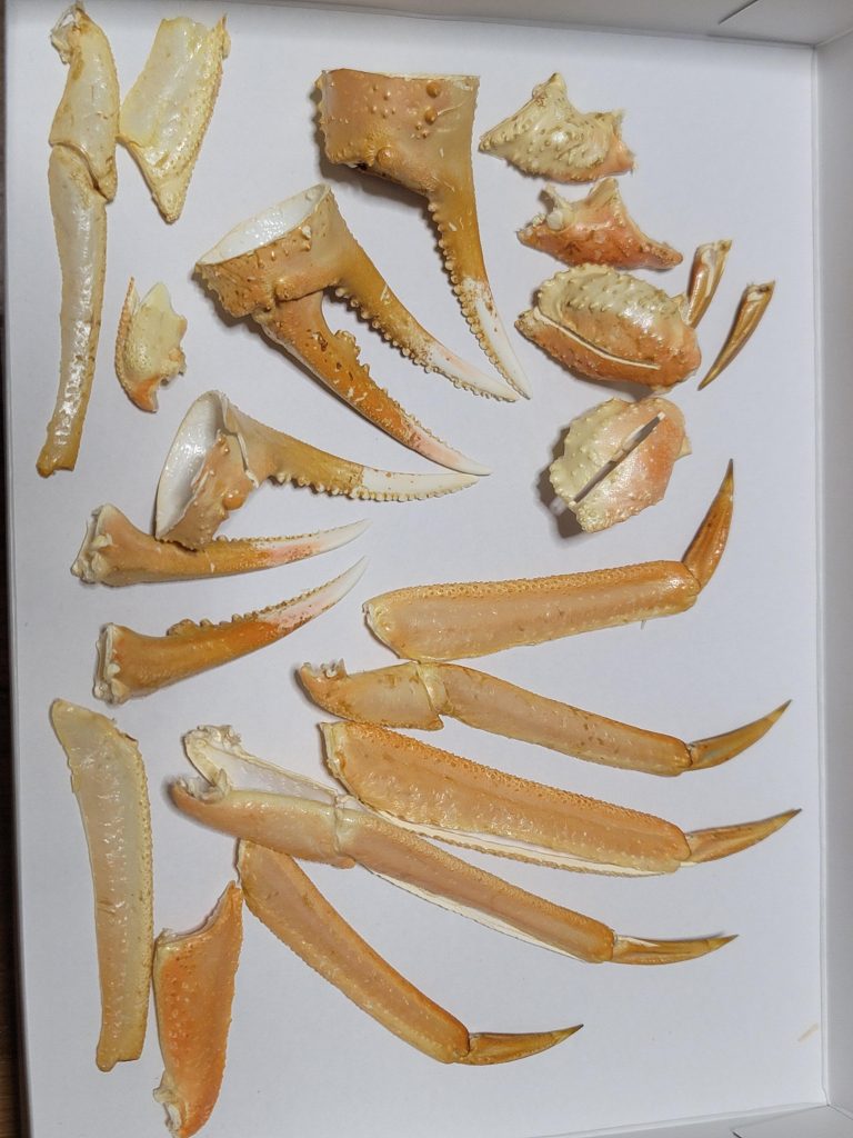 パーツ…？これをミキシングしました🦀お正月に食べたカニの殻を良く洗って乾燥させ、ニッパーでカットしたりパテで貼り付けてからの塗装🎨仕上げにデカールとウェザリングです😊