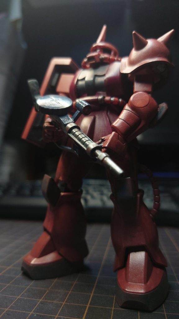 閲覧いただき、ありがとうございます。ちょっと、ピンボケですが、気に入っている写真を最後に載せさせていただきます。