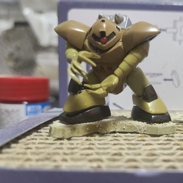 チョコサプ水泳部