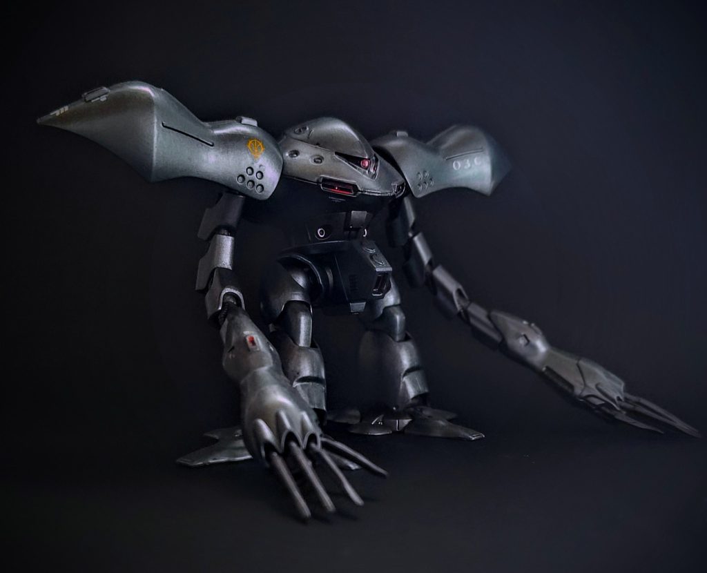 ハイゴッグ、ブチアナが際立つ、恰好よいデザインです!!