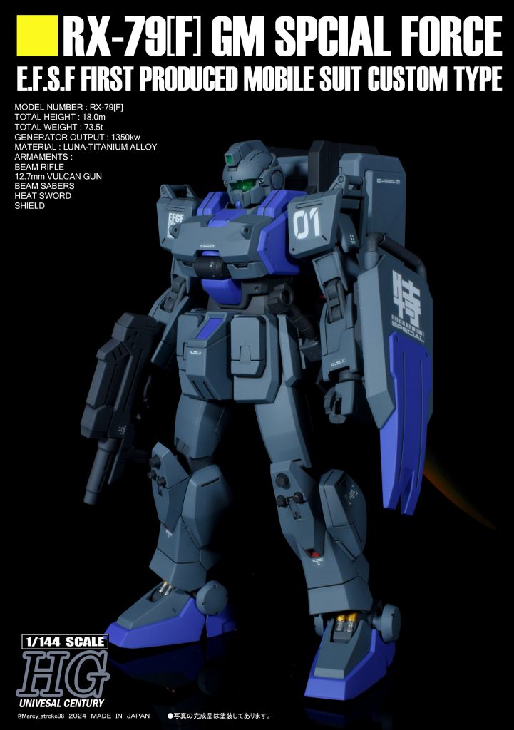陸戦型ジム特務隊仕様