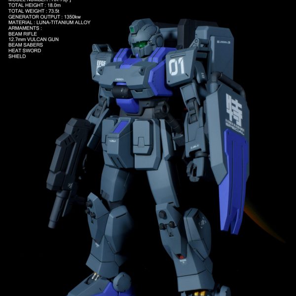 陸戦型ジム特務隊仕様