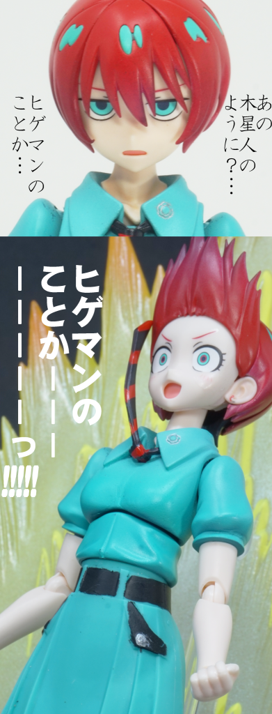 髪型がこれにしか見えませんでした…