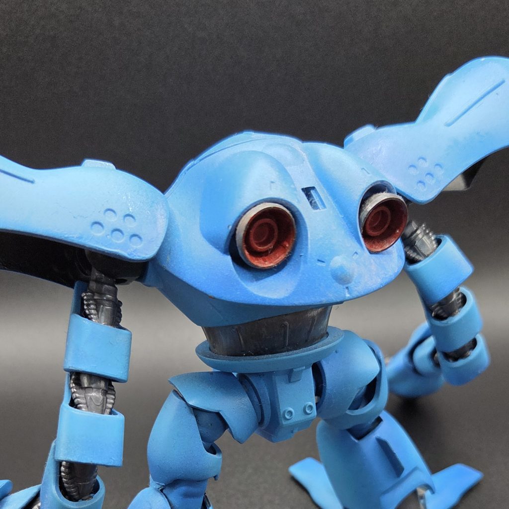 後ろから見ると蛙の顔があっておしゃれですね。