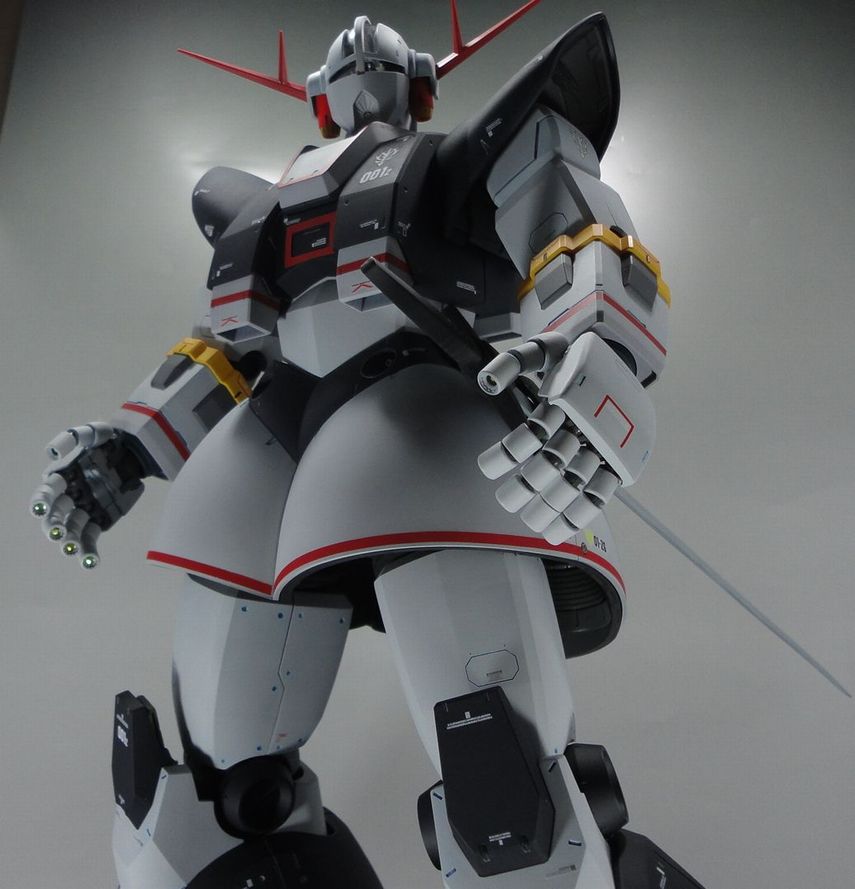 1/100 パーフェクトジオング