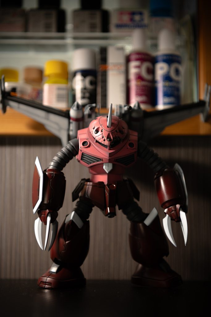 HG ズゴック　seed