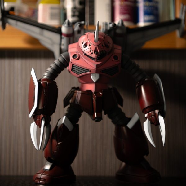 HG ズゴック　seed