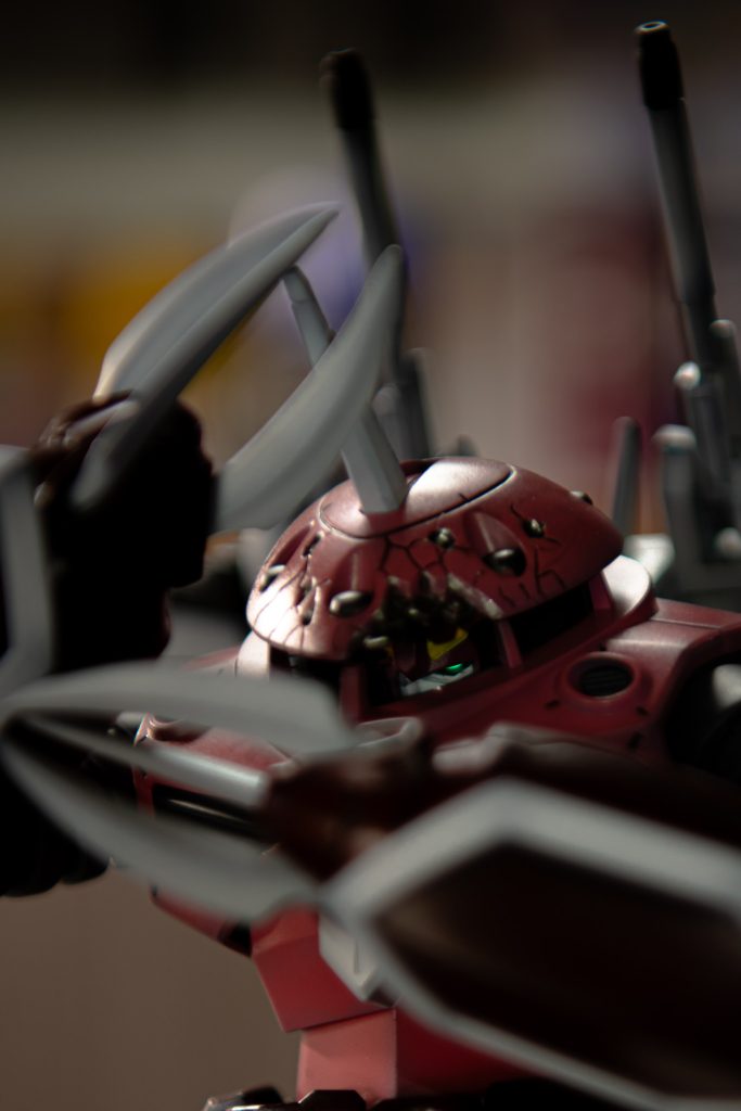 中にビコーン🤩