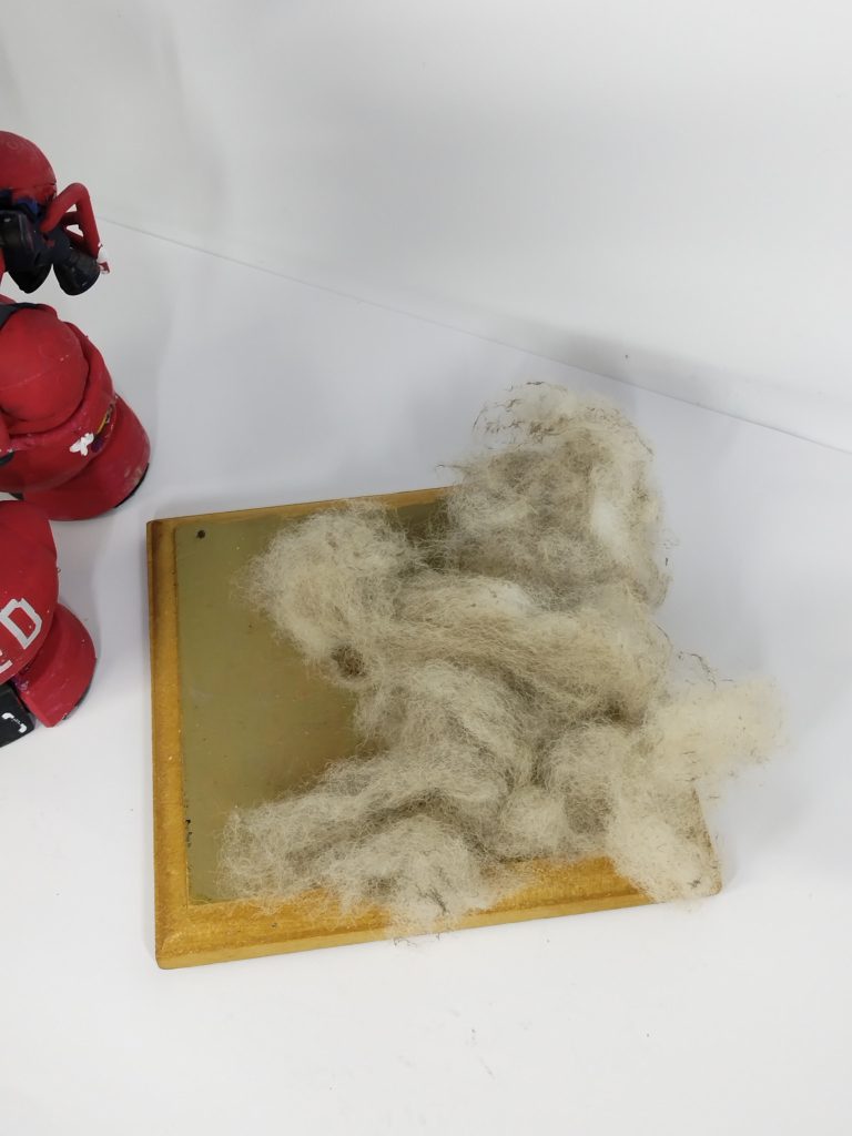 同型機を乗せられるようになってます（＾＾；