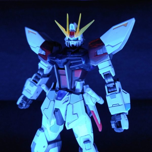 【供養シリーズ】HGビルドストライク