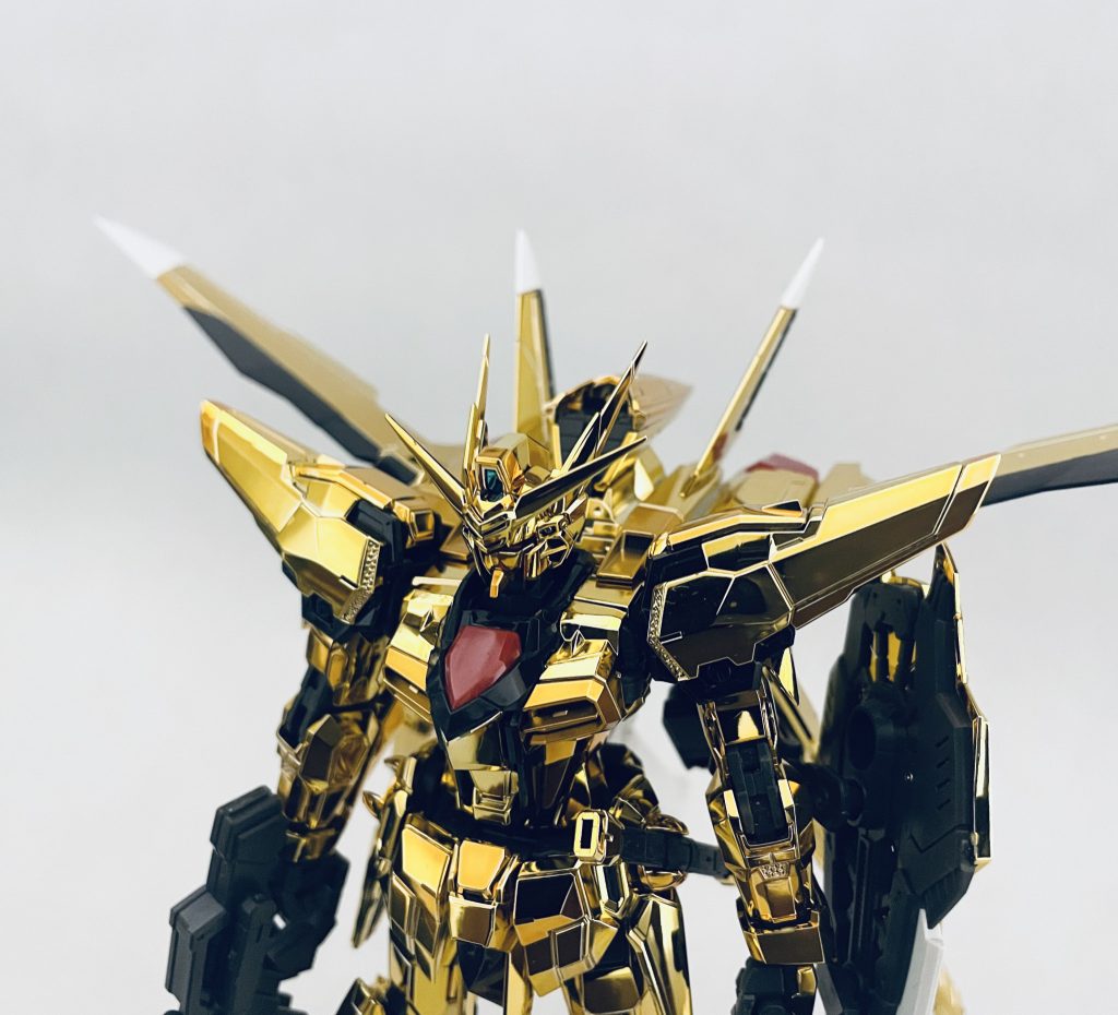 RGアカツキ(オオワシ装備)