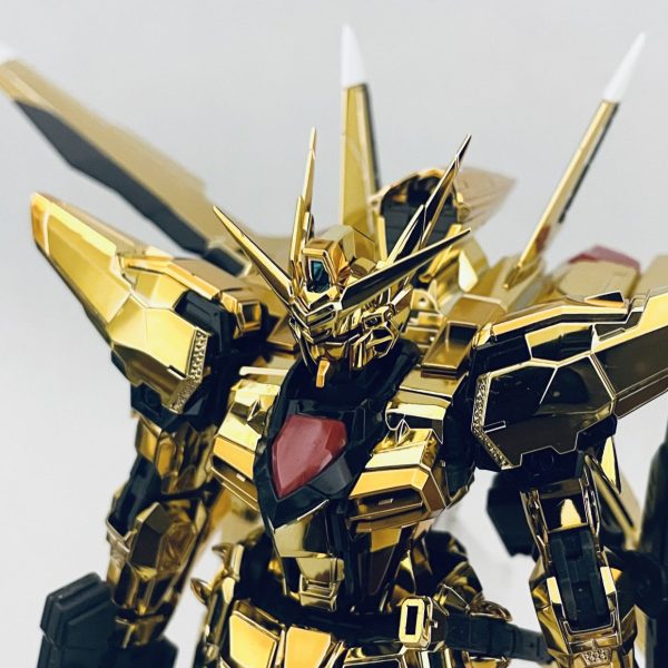 RGアカツキ(オオワシ装備)