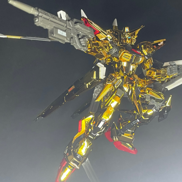 RGアカツキ オオワシ装備