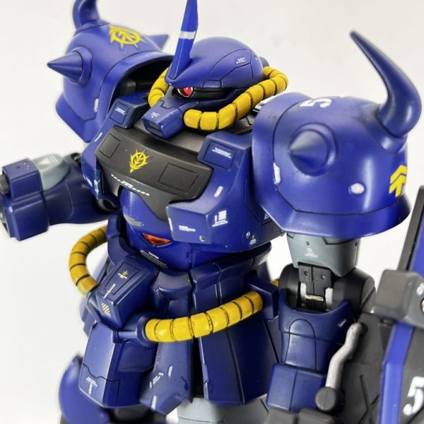 HG グフカスタム