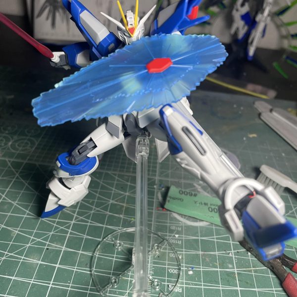 ライジングでフリーダムの今際の際再現