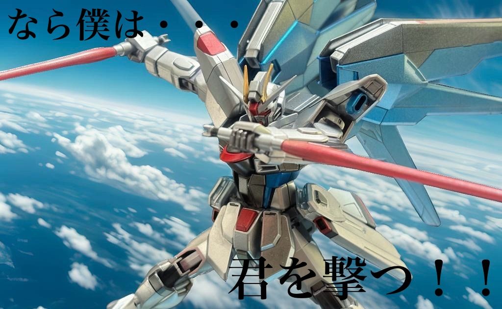 HGCE フリーダムガンダム フルメタリック塗装ver.